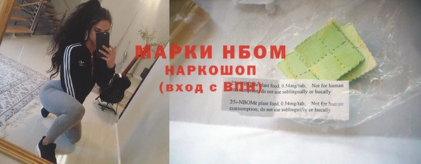 стафф Арсеньев