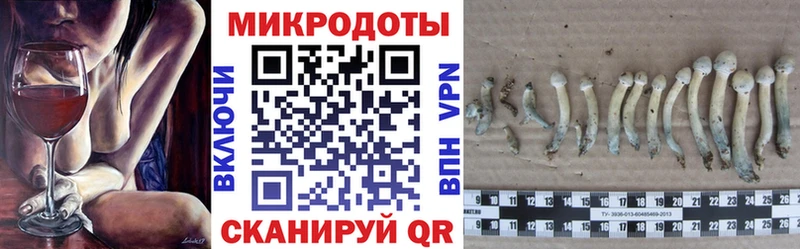 Галлюциногенные грибы мухоморы  Стрежевой 
